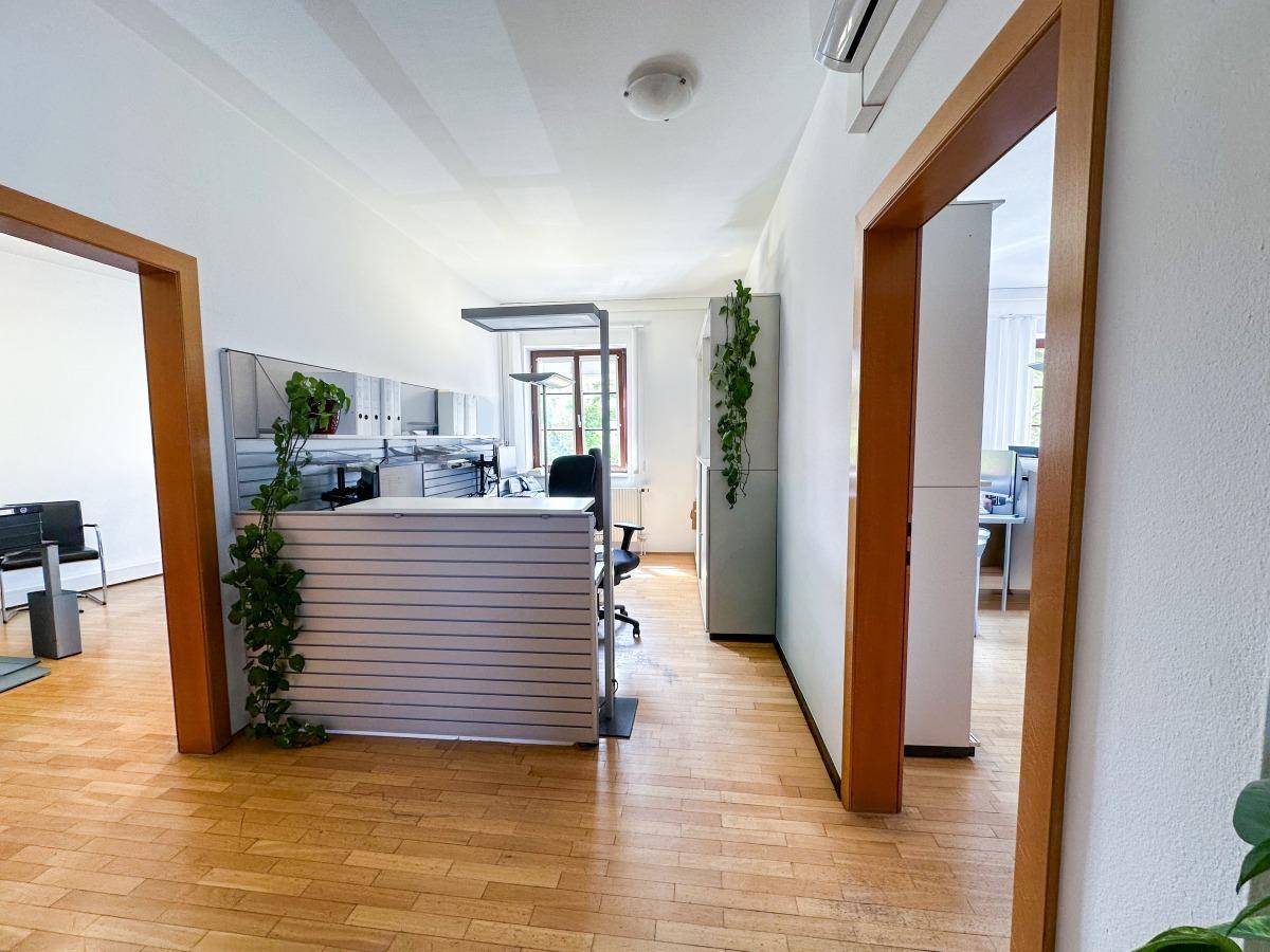 Offener Bürobereich mit Empfangstresen, Pflanzen und Zugang zu weiteren Arbeitsräumen.