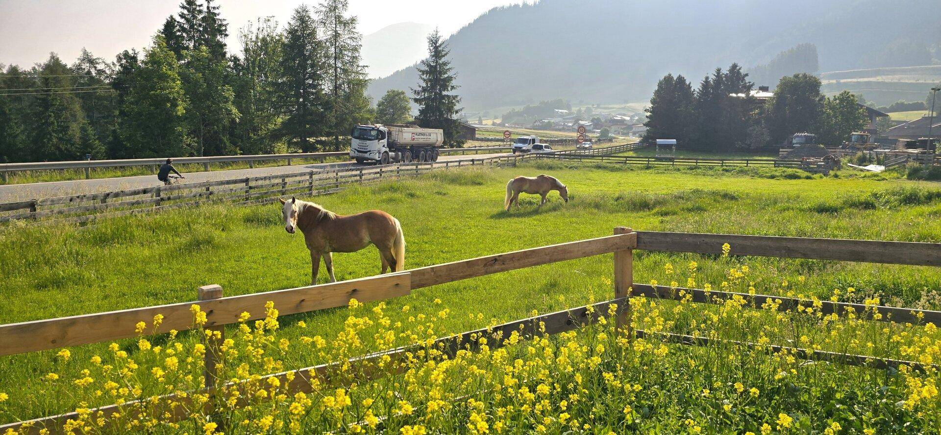 Aussicht