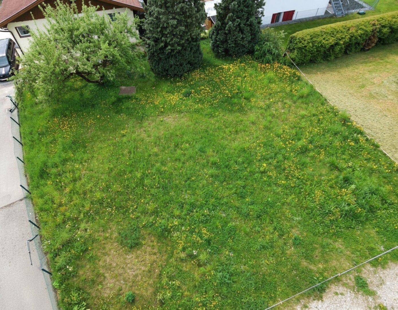 Luftaufnahme eines grünen Baugrundstücks mit angrenzenden Häusern und Bäumen an einem sonnigen Tag.
