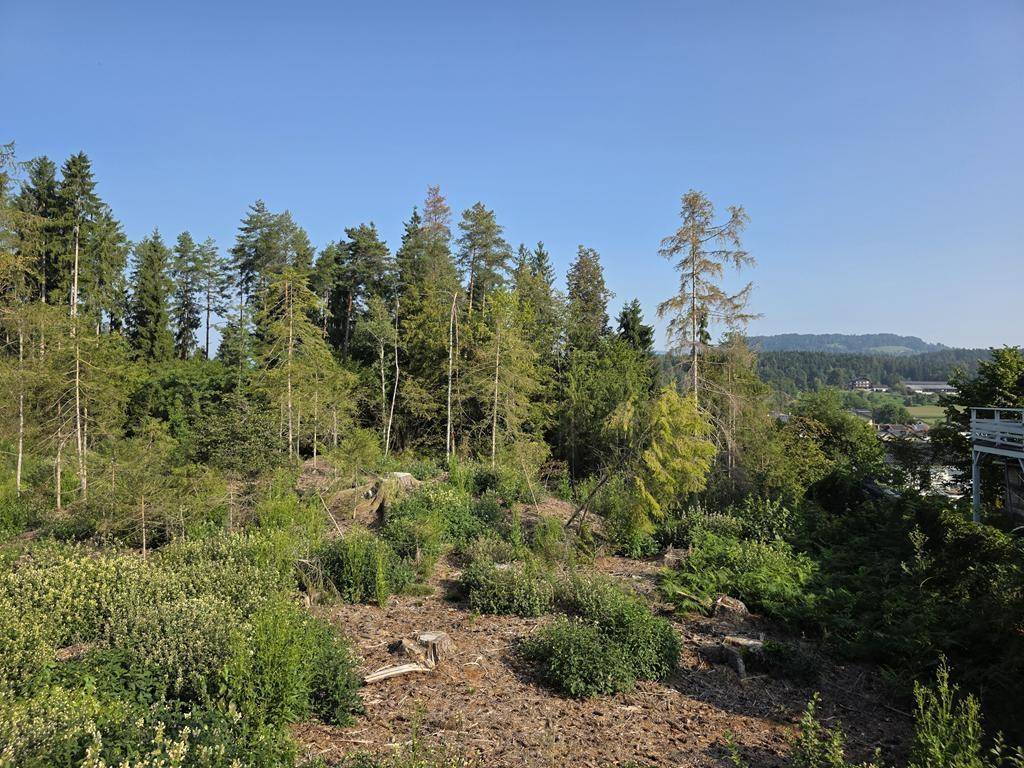 Blick nach Norden vom erhabensten Punkt