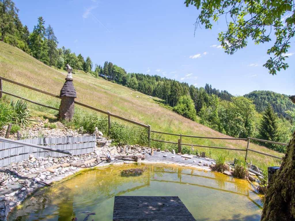 Kleiner Teich mit Holzsteg in einem naturnahen Gartenbereich am Hang mit weitem Blick.