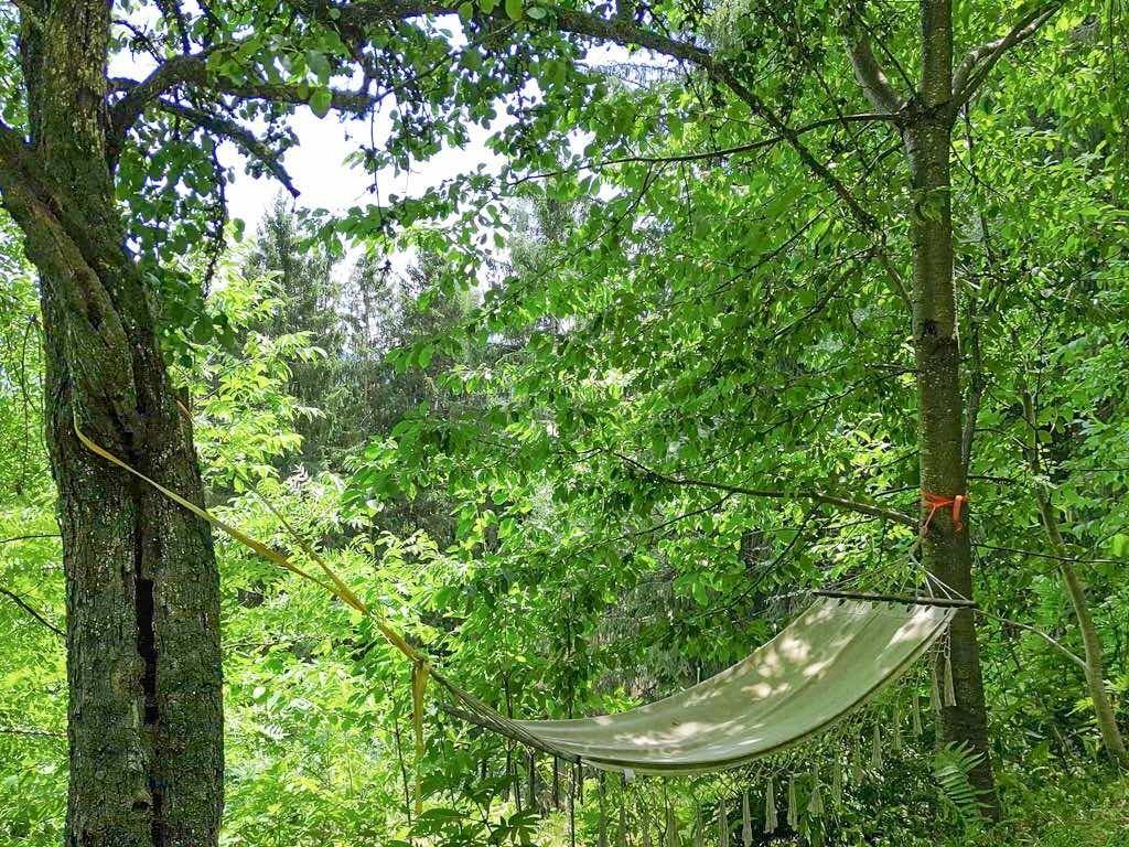 Eine Hängematte zwischen Bäumen in einem üppig grünen Gartenbereich lädt zum Entspannen ein.