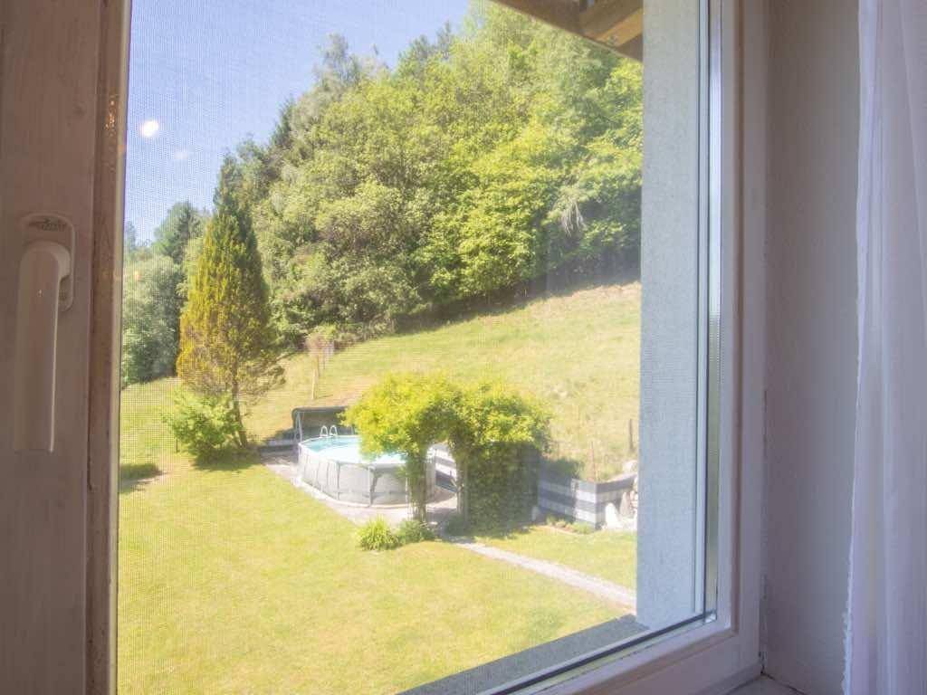 Blick aus dem Fenster auf den grünen Garten mit einem kleinen Pool und Bäumen.