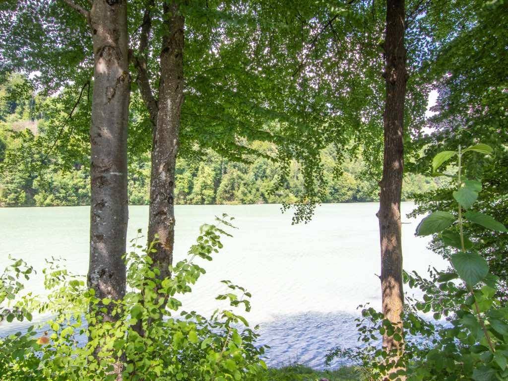 Blick auf einen ruhigen See, eingerahmt von dichtem Laubwald und üppiger Vegetation an einem sonnigen Tag.
