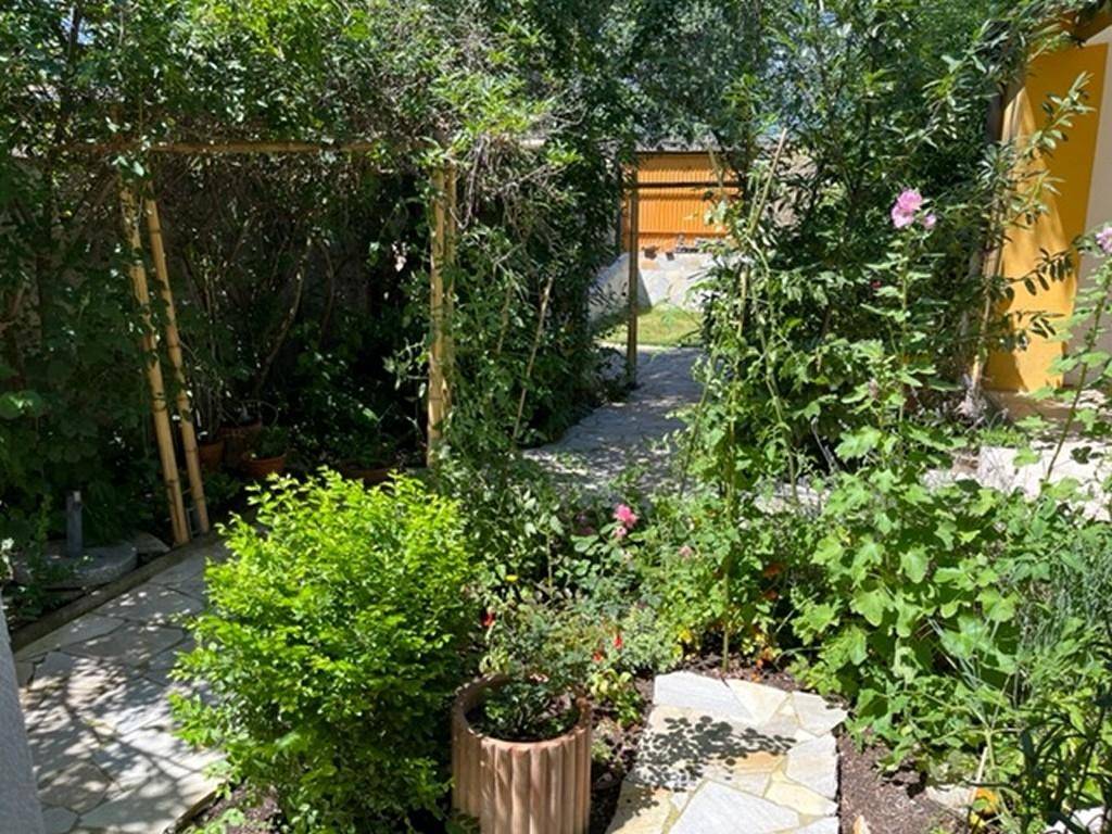 Üppiger Gartenbereich mit Steinplattenweg und verschiedenen Pflanzen unter blauem Himmel.