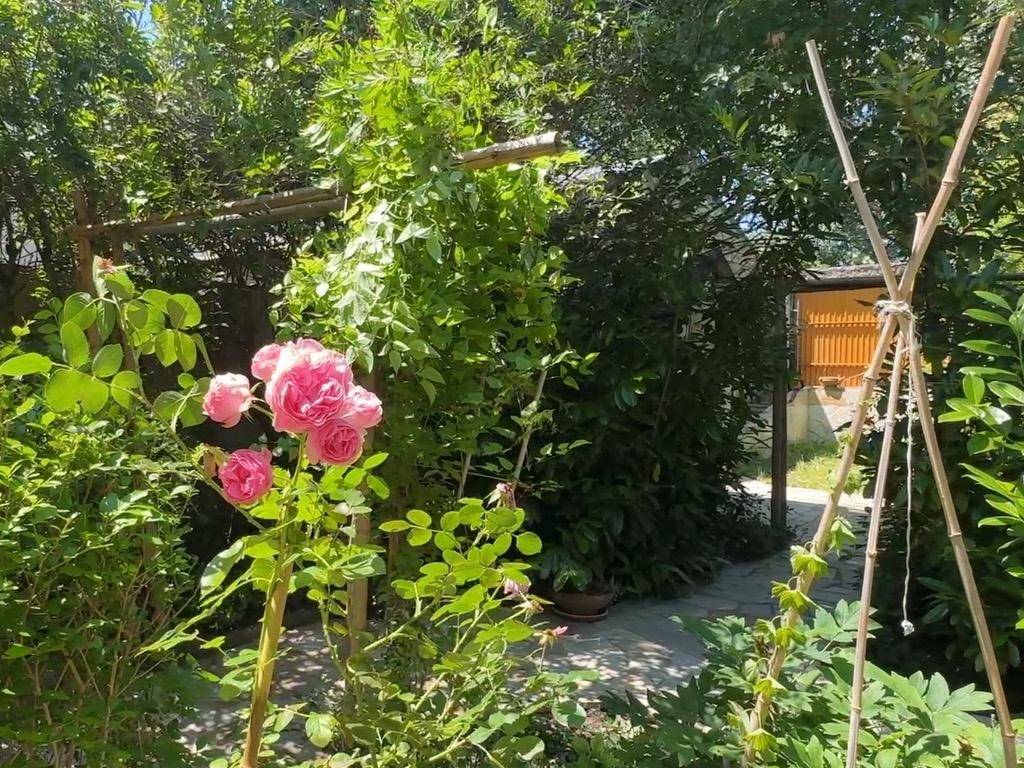 Blühender Rosengarten mit Steinplattenweg und grünen Sträuchern unter blauem Himmel.