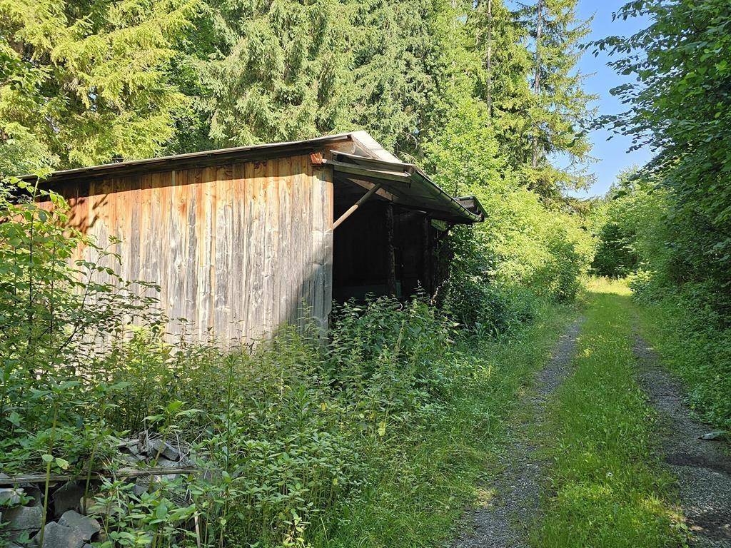 Wald und Unterstand