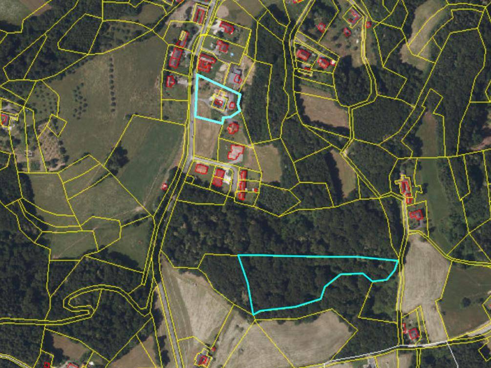 Luftbild Lage Haus und Wald