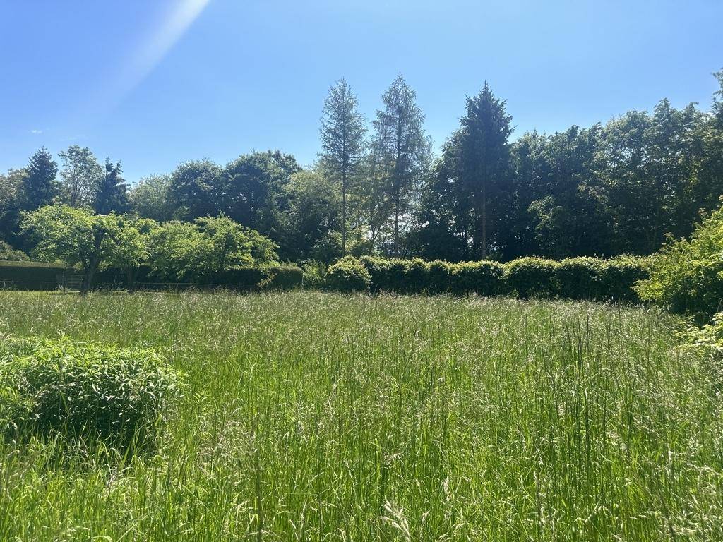 Grundstück
