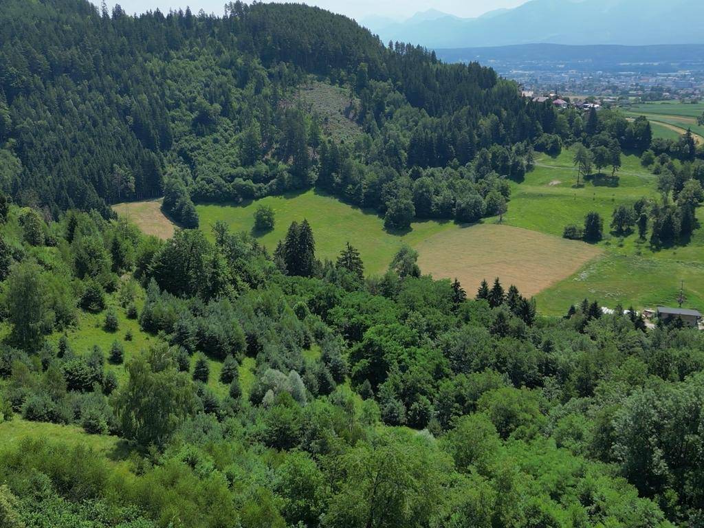 Hügelige, bewaldete Landschaft mit Lichtungen und einem Blick auf eine entfernte Stadt und Berge.