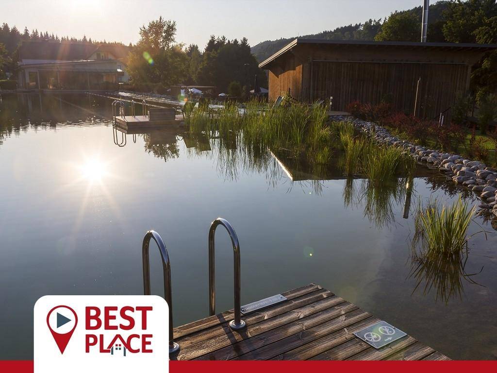 Natürlicher Schwimmteich mit Holzsteg und Badeleiter in sonniger Umgebung.