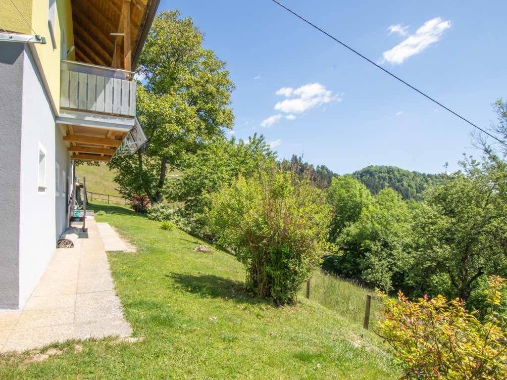 Seitlicher Gartenbereich mit Rasenfläche, Sträuchern und einem gepflasterten Weg entlang des Hauses.
