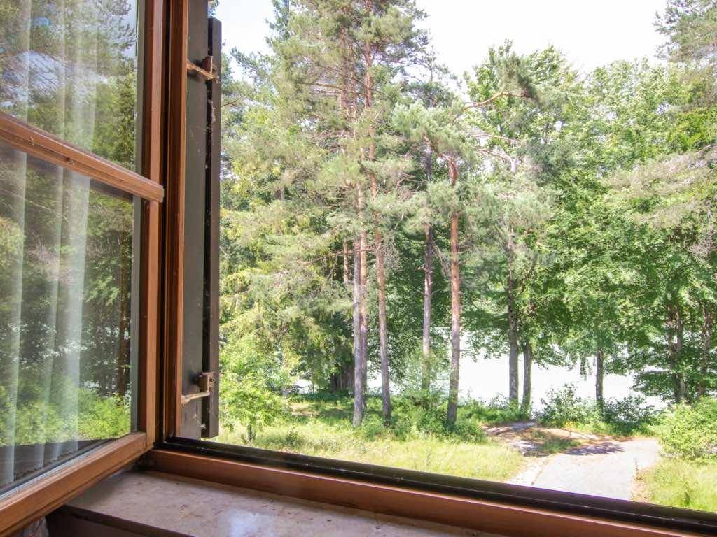 Fensterblick auf die umliegende Natur mit Bäumen und einem See im Hintergrund.