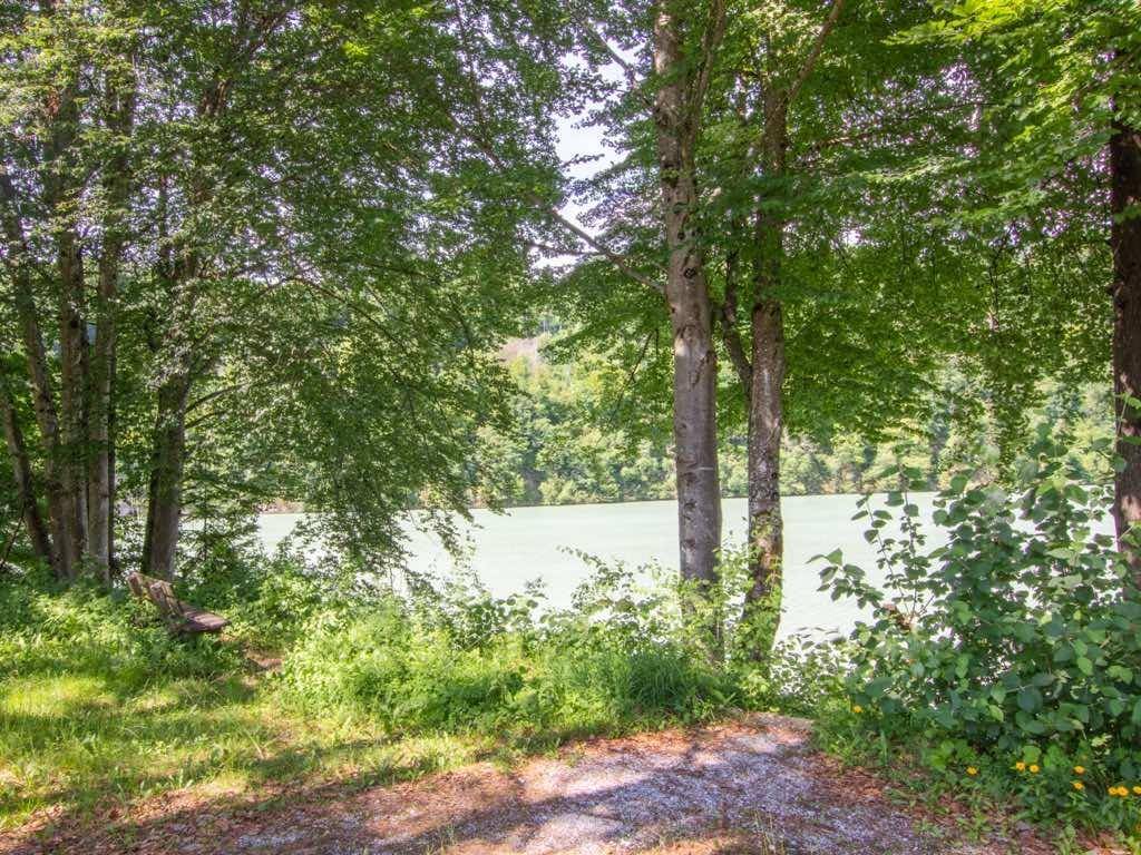 Natürliche Uferlandschaft mit einem See, umgeben von Bäumen und einem kleinen Rastplatz mit Bank.