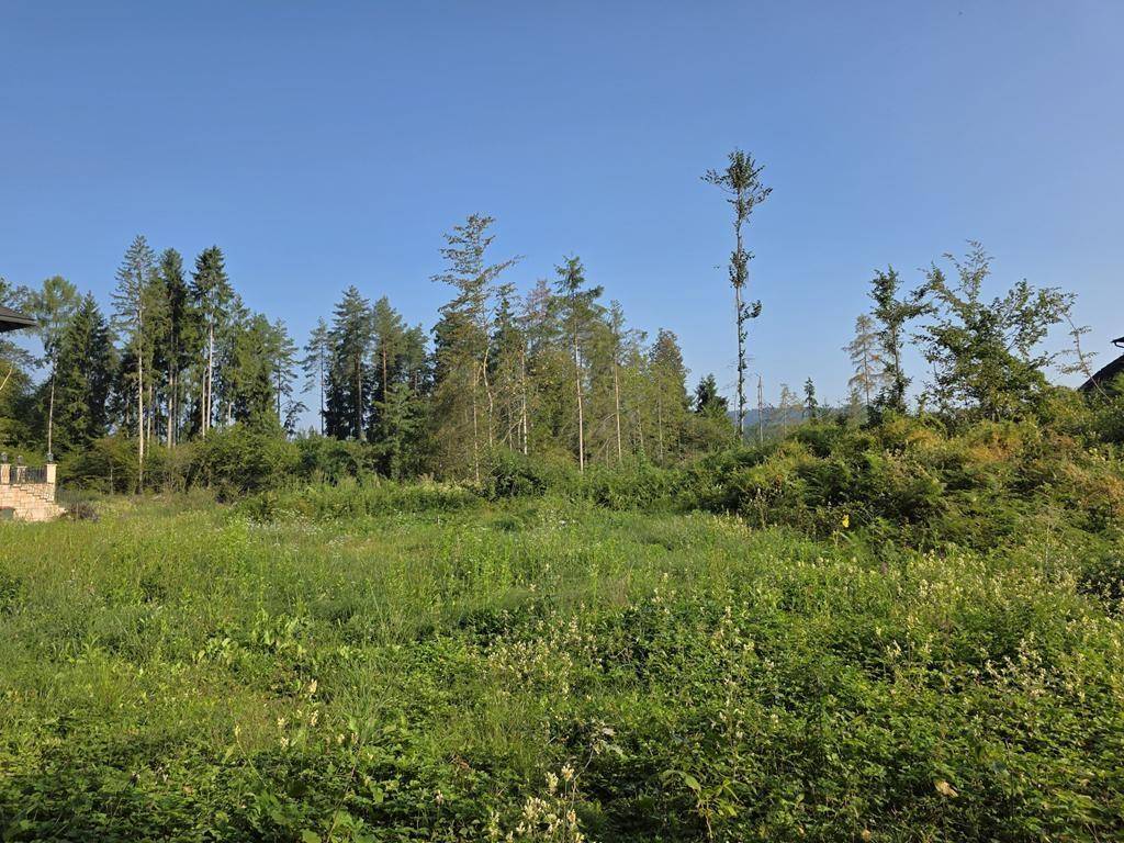 Blick von Süden