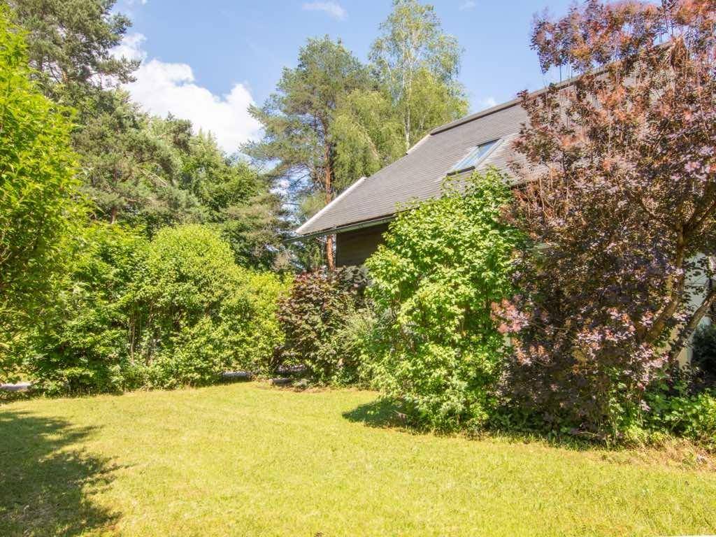 Gepflegter Gartenbereich mit Rasenfläche und dichten Büschen neben dem Haus.