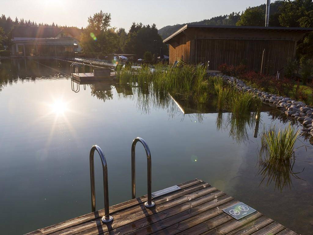 Idyllischer Naturbadeteich mit Holzsteg und üppiger Bepflanzung, umgeben von Wald und Natur.
