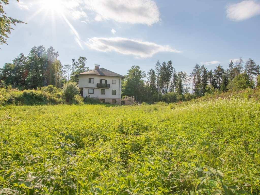 Großes grünes Feld mit einem Haus und Wald im Hintergrund, beleuchtet von der Sonne.