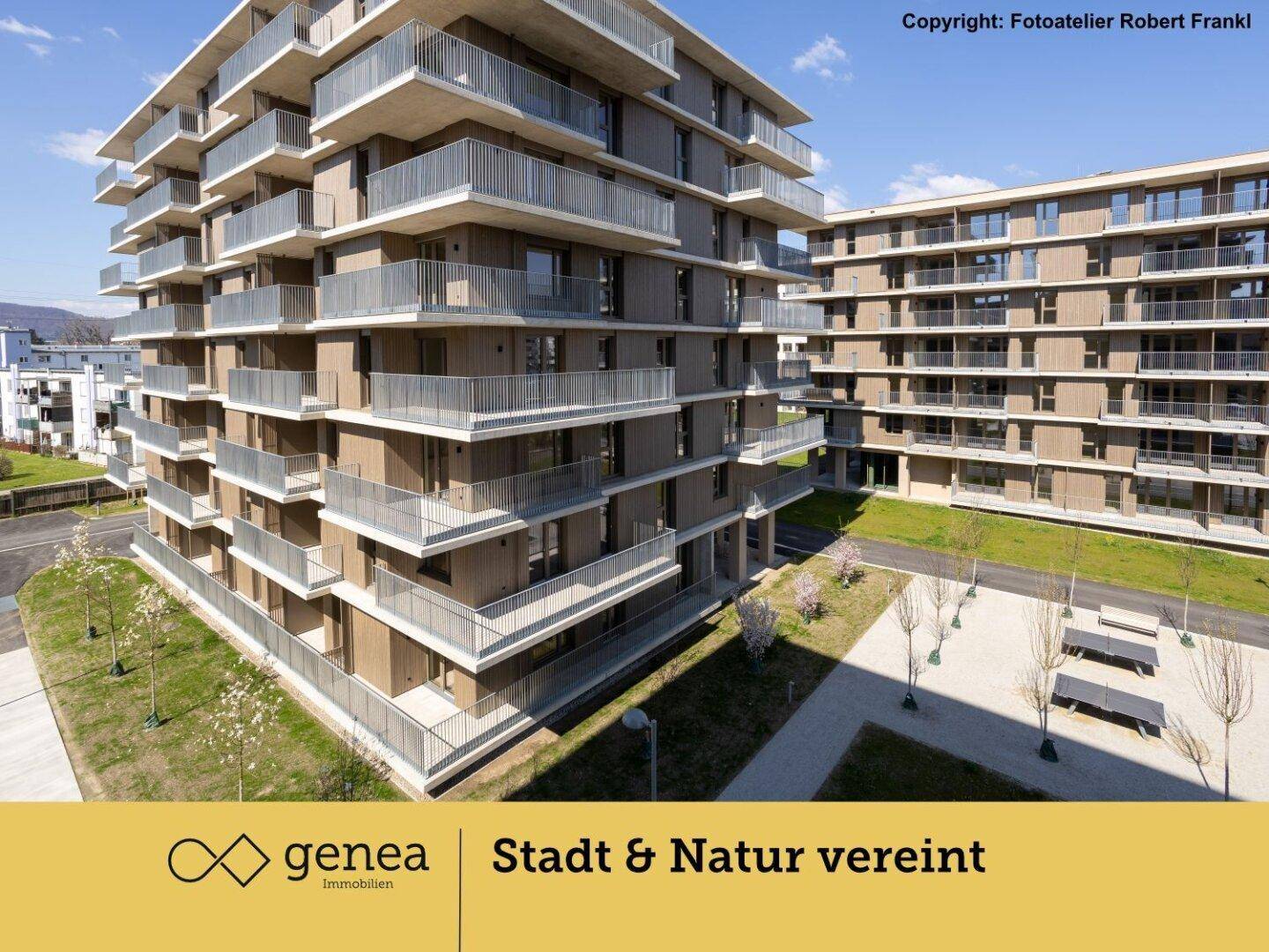 Slide 11