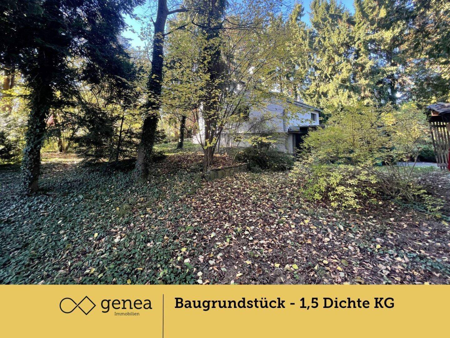 Ausgedehnter Garten mit dichtem Baumbestand und Blick auf die Rückseite des Hauses in ländlicher Umgebung.