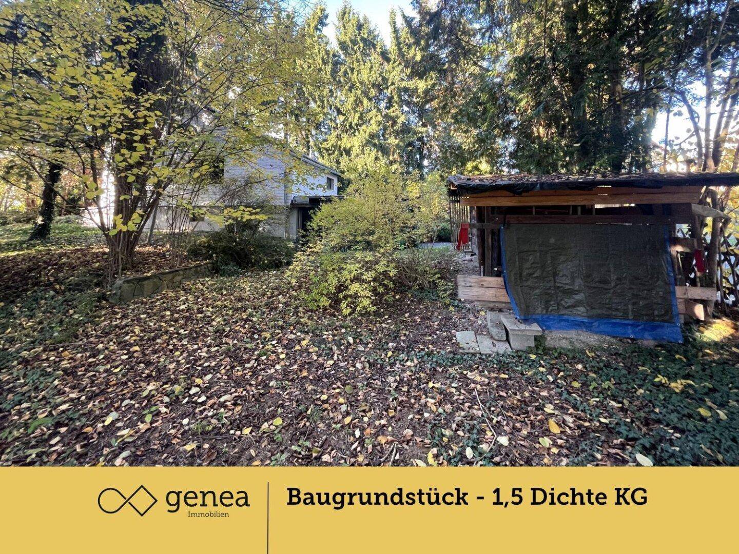 Gartenbereich mit einem kleinen Schuppen oder Unterstand und Blick auf das Haupthaus im Hintergrund.
