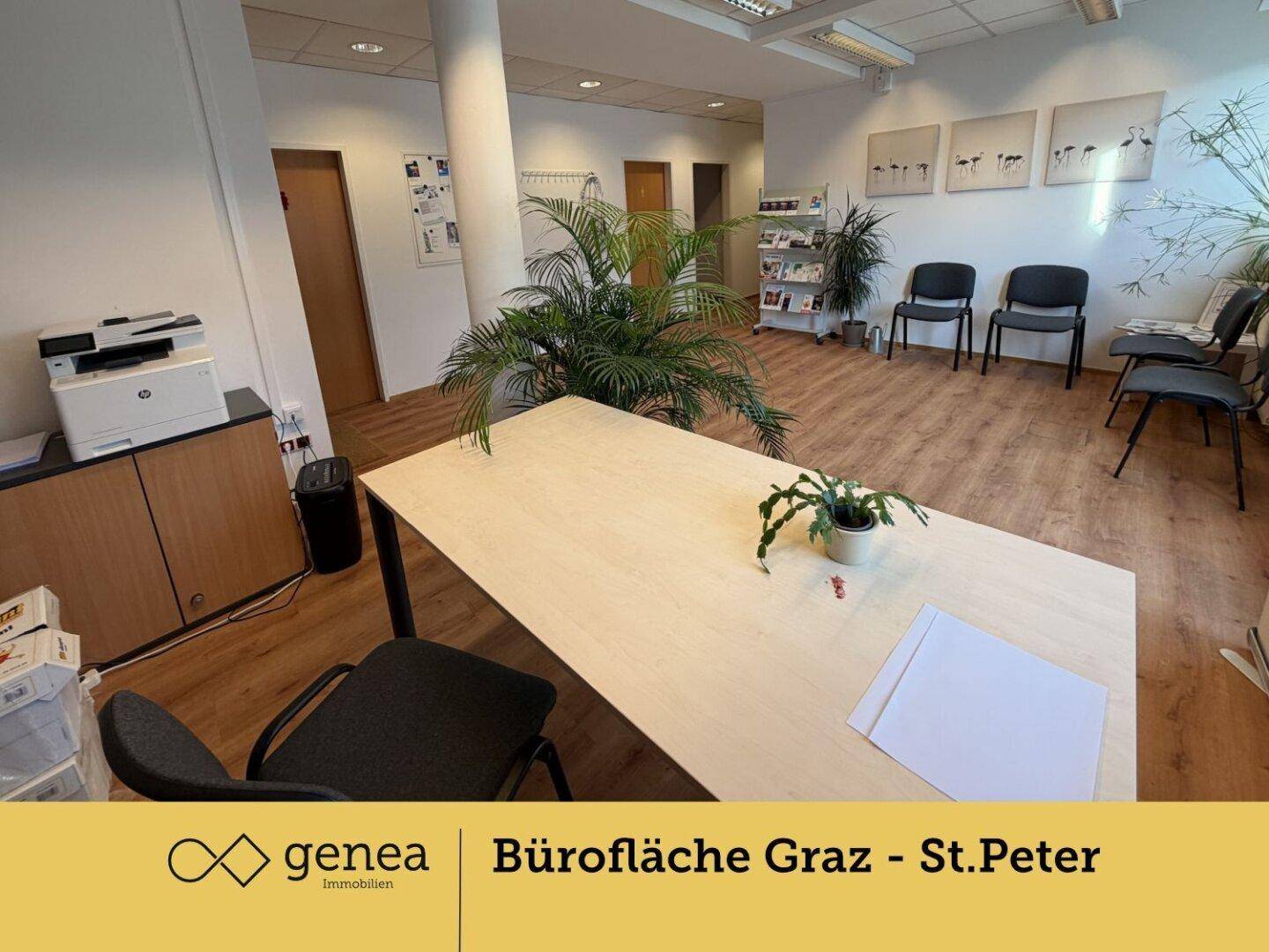 Heller Büroraum mit Schreibtisch, Drucker und Pflanzen, bietet eine angenehme Arbeitsatmosphäre.