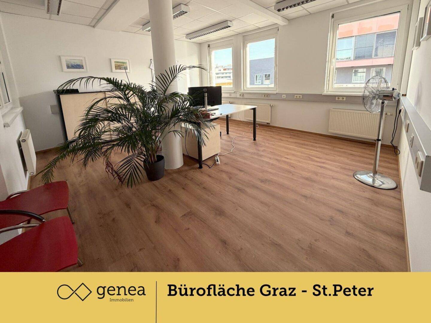 Heller Büroraum mit Laminatboden, Schreibtisch und Pflanzen, bietet eine angenehme Arbeitsumgebung.