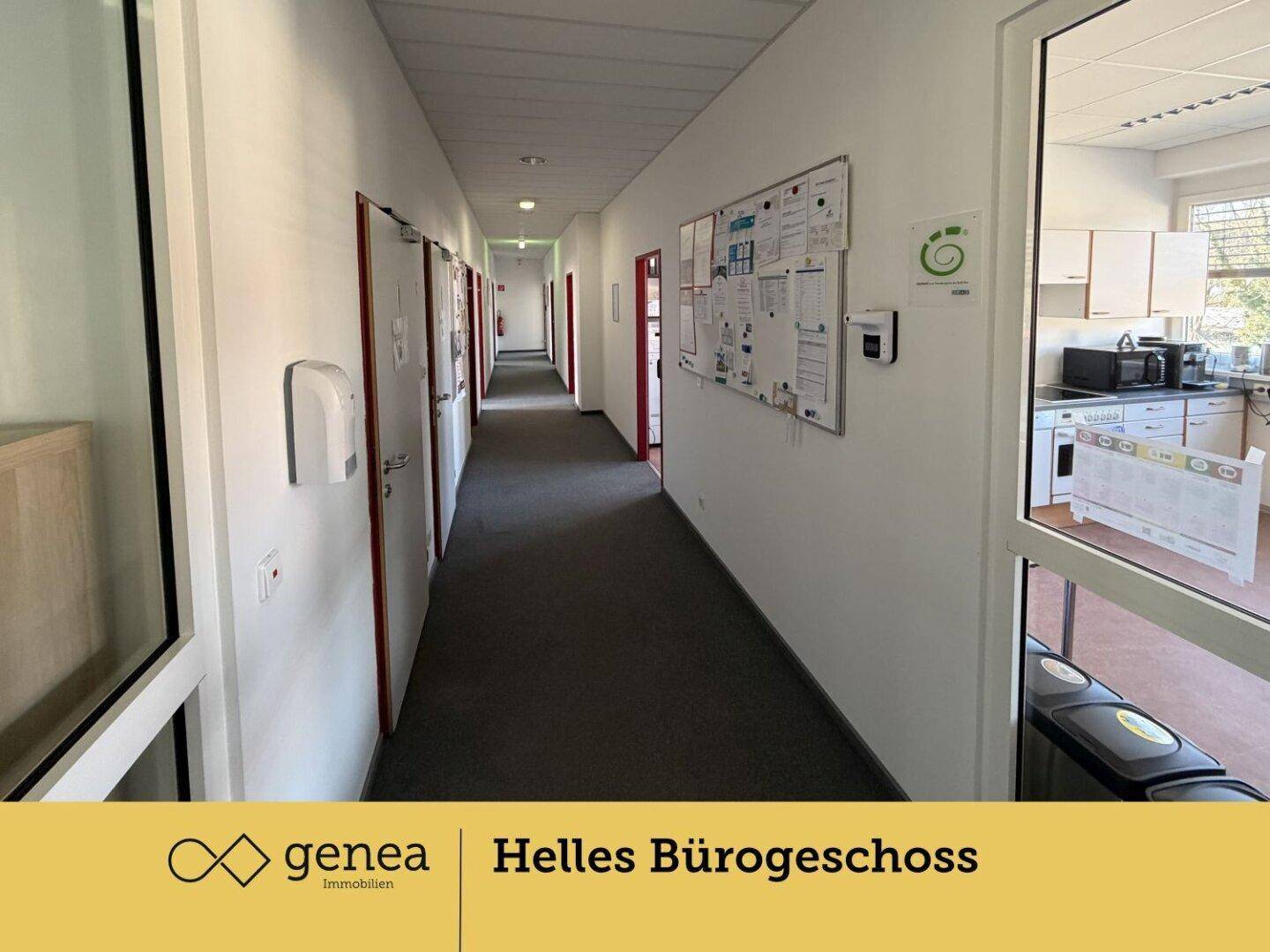 Langer, heller Flur mit Teppichboden und mehreren Türen, der zu verschiedenen Büros und einer Küche führt.