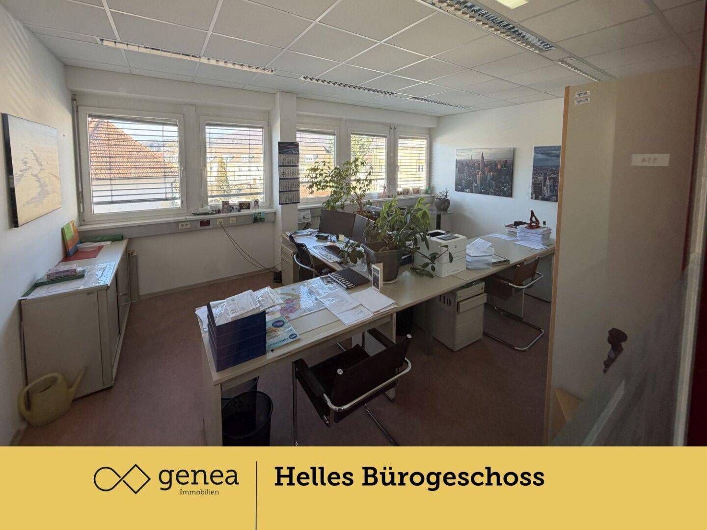Helles Büro mit mehreren Arbeitsplätzen, großen Fenstern und Pflanzen, die für eine angenehme Atmosphäre sorgen.