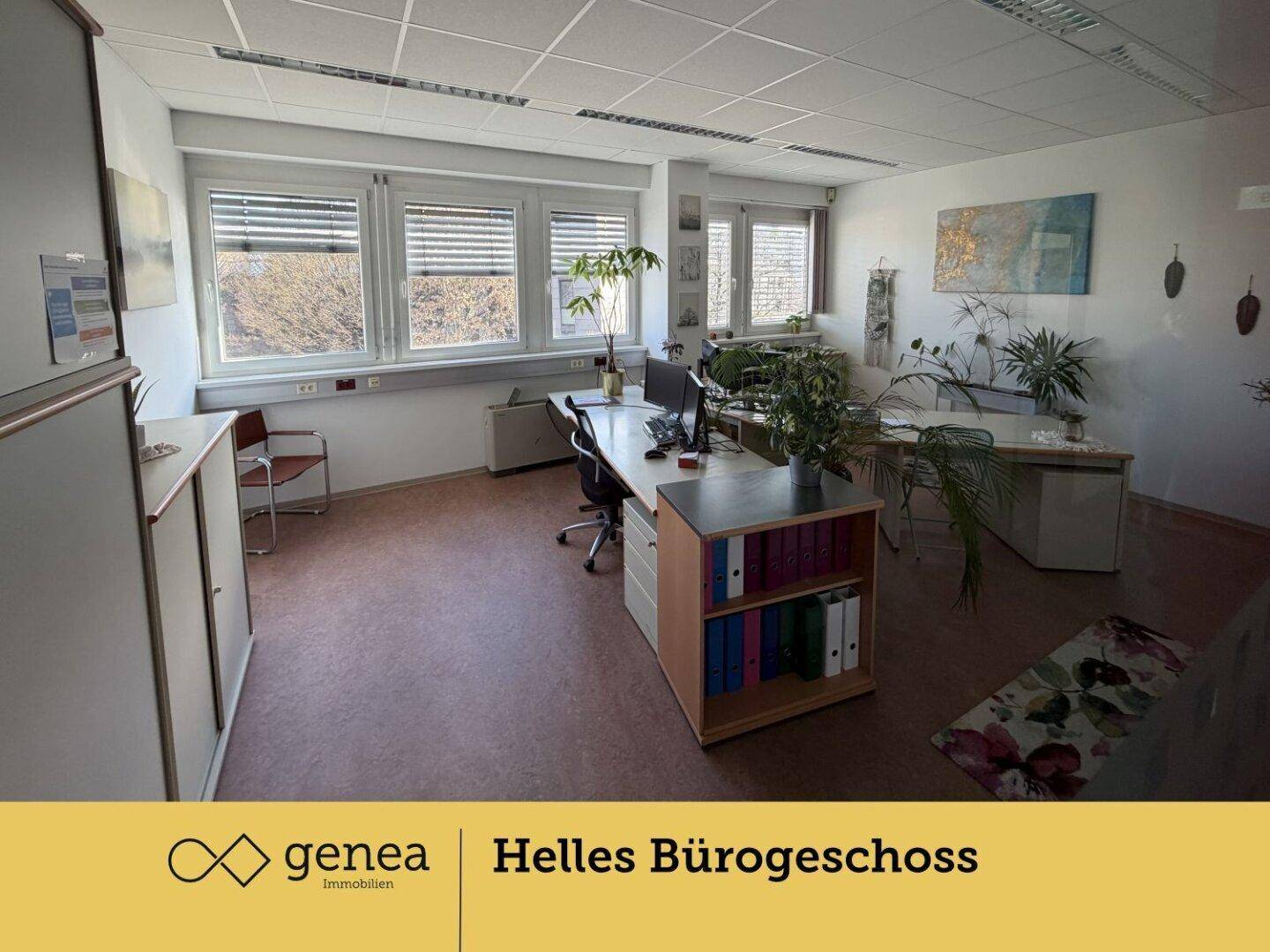 Geräumiges Büro mit mehreren Schreibtischen, Aktenschränken und großen Fenstern, die viel Tageslicht hereinlassen.
