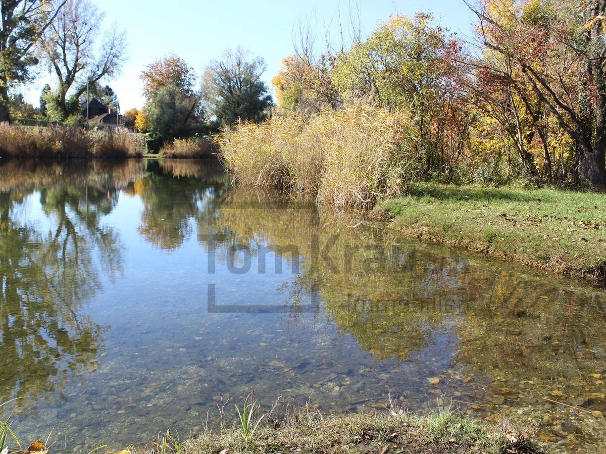 Flaches, klares Wasser eines Sees mit Schilf am Ufer und herbstlichen Bäumen.