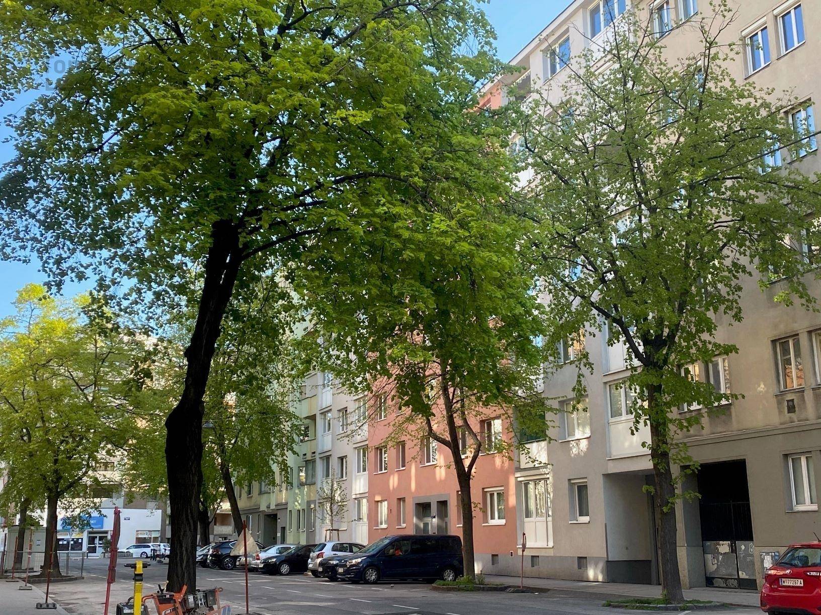 Grüne Wohnstraße mit Bäumen und mehrstöckigen Gebäuden, die eine angenehme Atmosphäre schafft.
