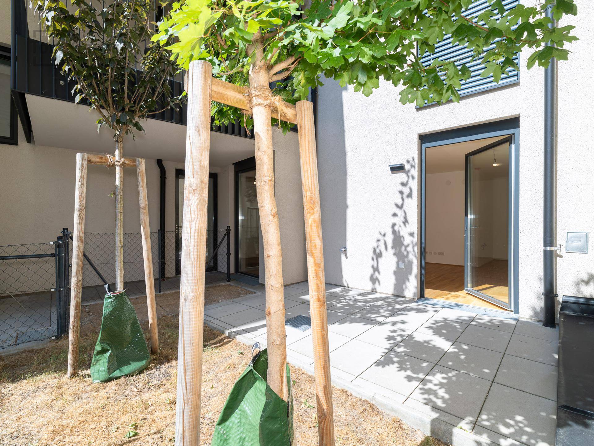 Unmöblierte Terrasse mit jungen Bäumen und Zugang zum Garten, ideal für individuelle Gestaltung.