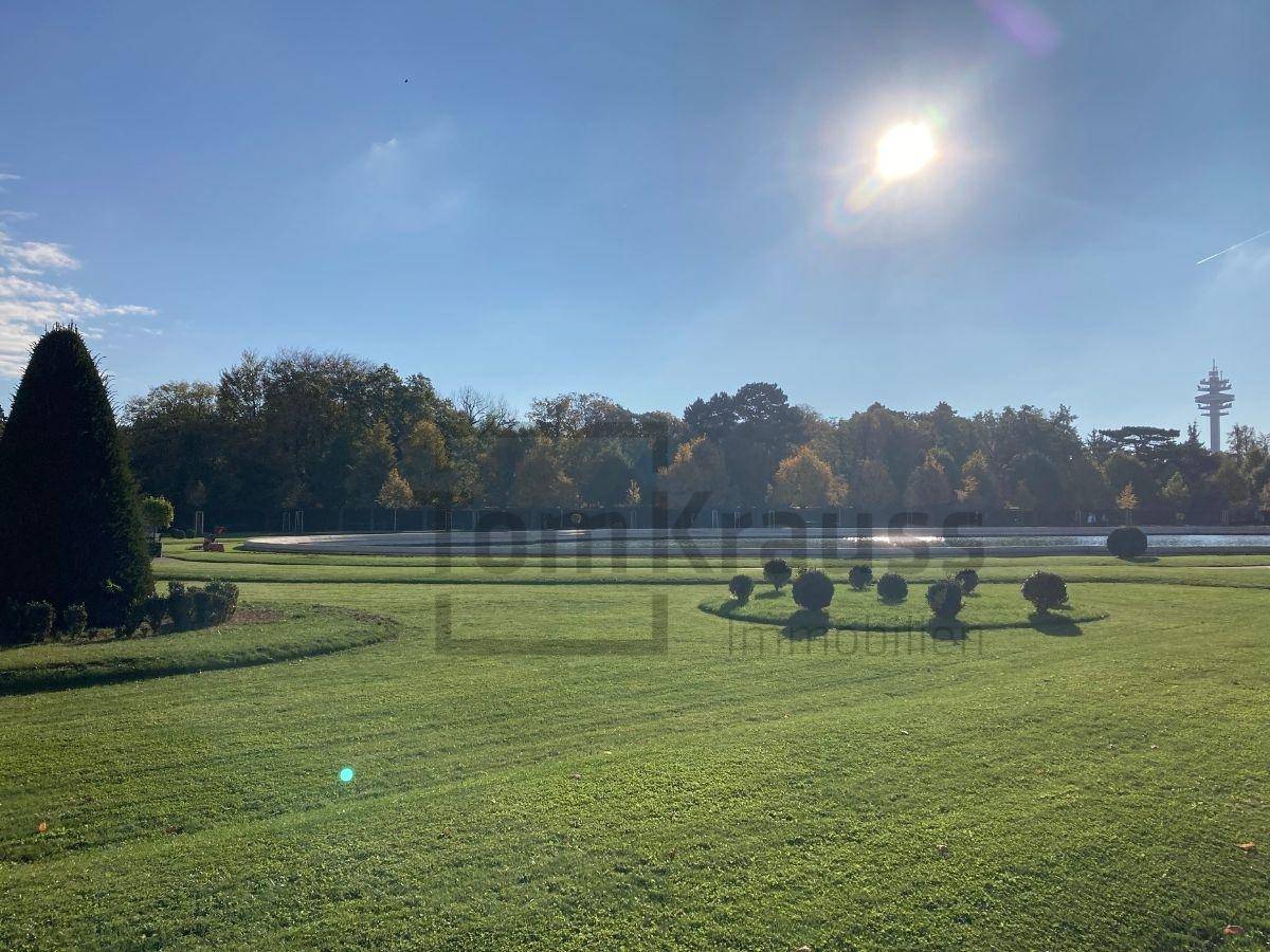 Weitläufige Grünflächen des Belvedere-Gartens mit Bäumen und einem Teich im Sonnenlicht.
