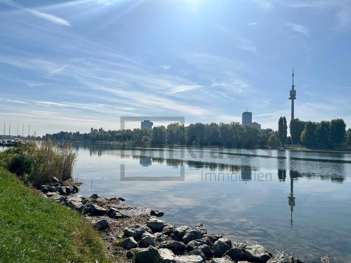 Alte Donau