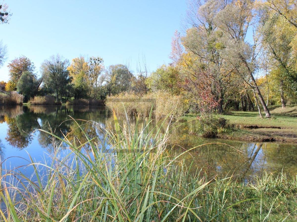 Natürlicher See mit Schilf im Vordergrund und herbstlichen Bäumen am Horizont.