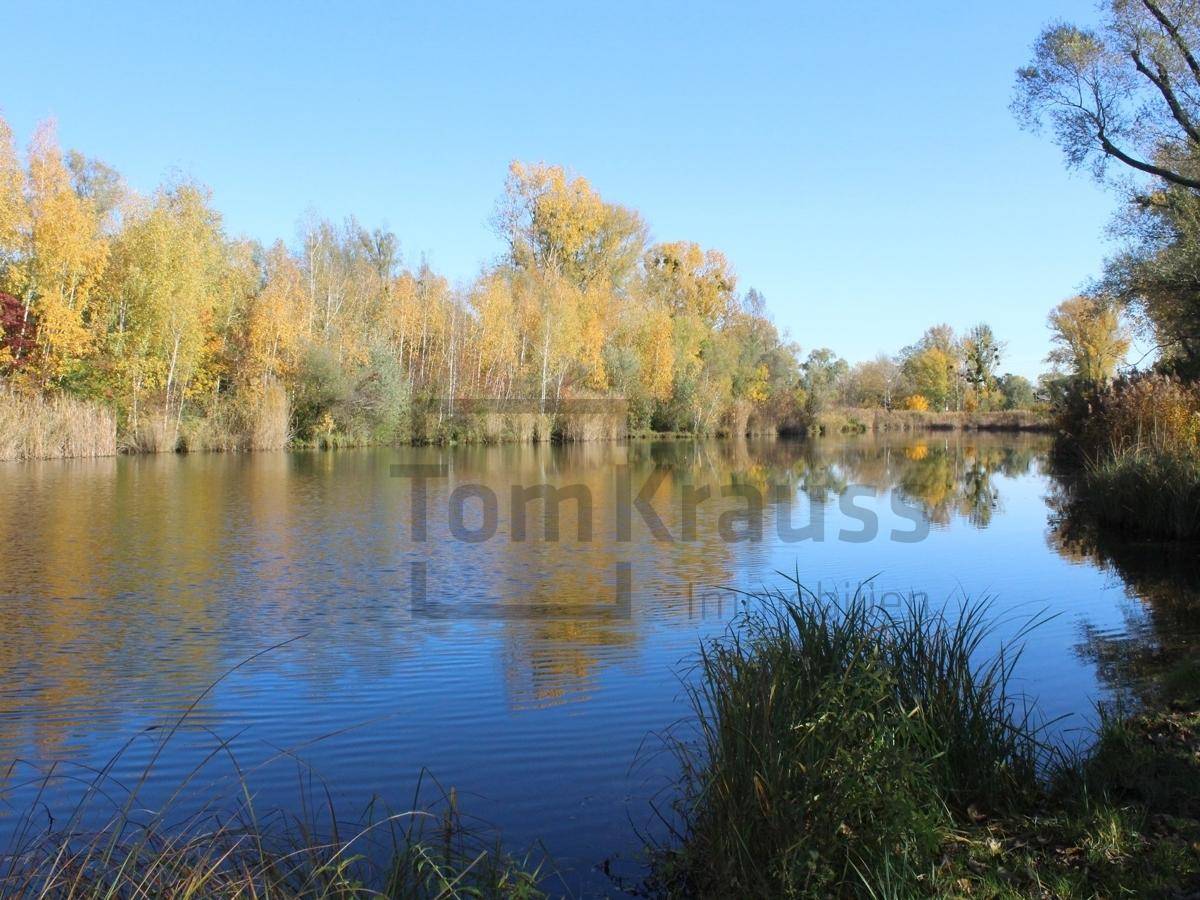 Idyllischer See umgeben von Bäumen mit herbstlichem Laub unter blauem Himmel.