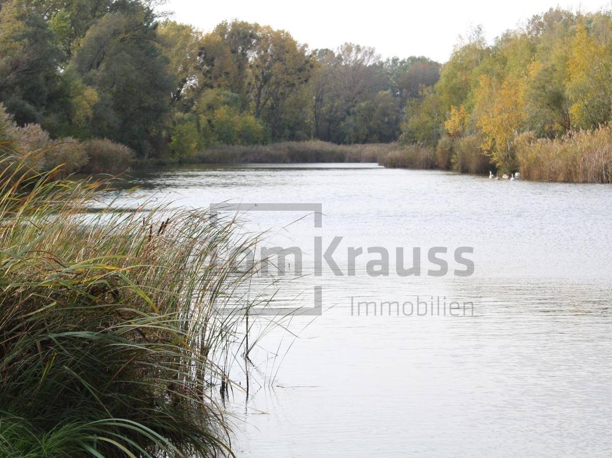 Breiter See mit Schilfgürtel am Ufer und ruhiger Wasseroberfläche.