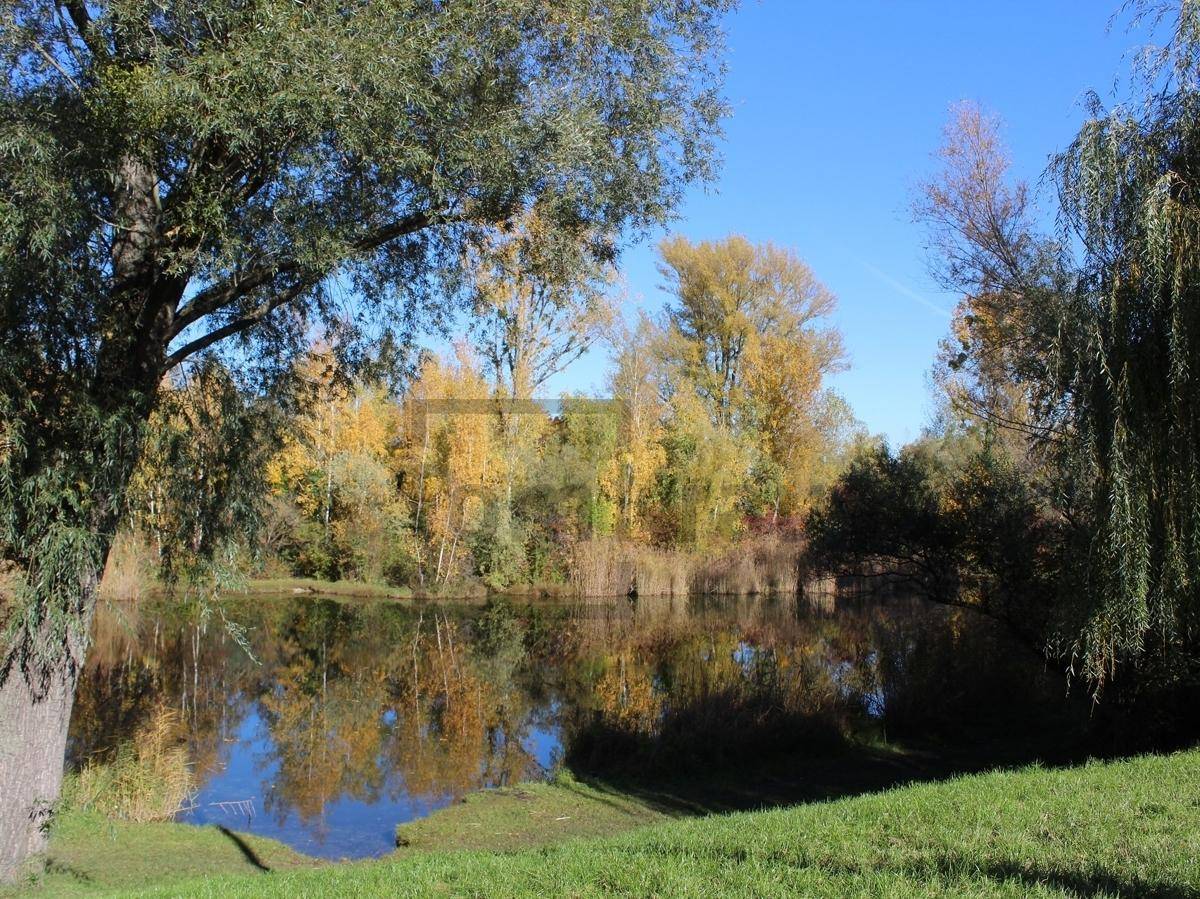 Klarer See mit Spiegelungen der bunten Herbstbäume am Ufer unter blauem Himmel.