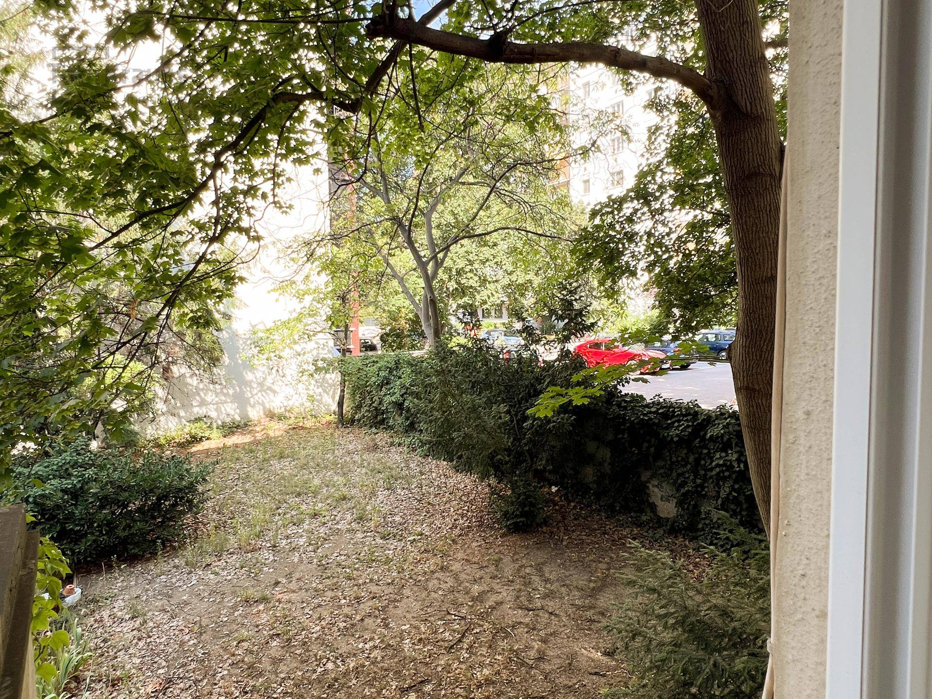Kleiner Gartenbereich mit Bäumen und Sträuchern, von einem Fenster aus gesehen.