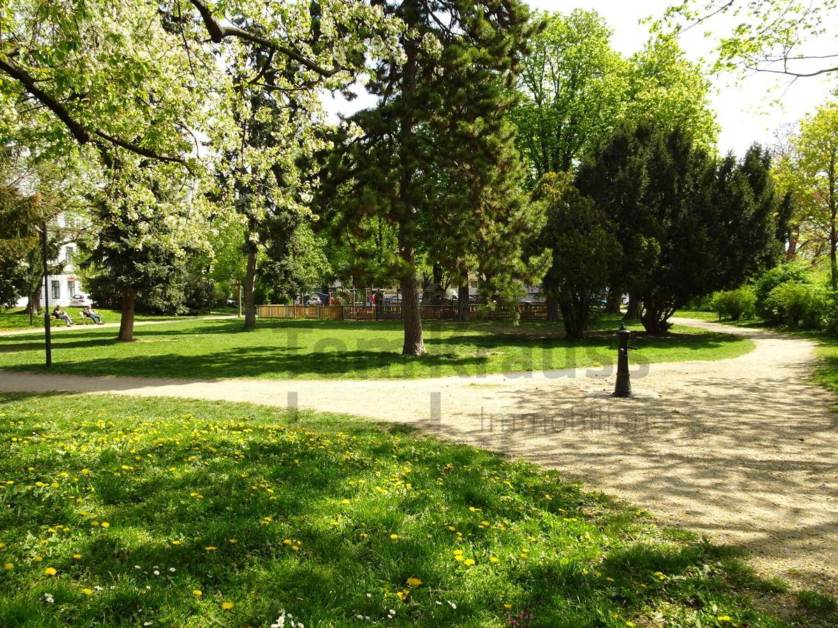 Grüne Parklandschaft mit Bäumen, Wegen und sonnigen Rasenflächen, ideal zur Erholung.
