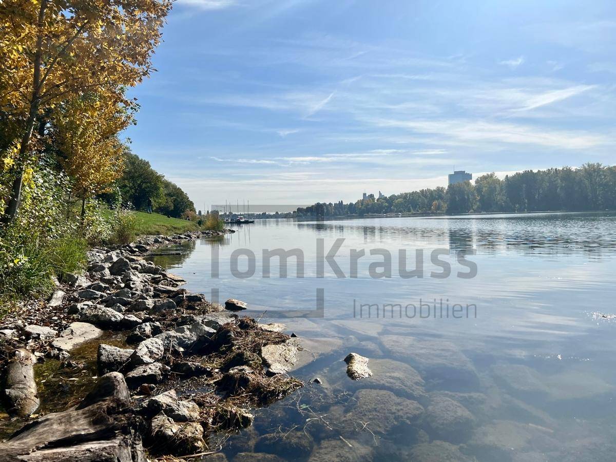 Alte Donau