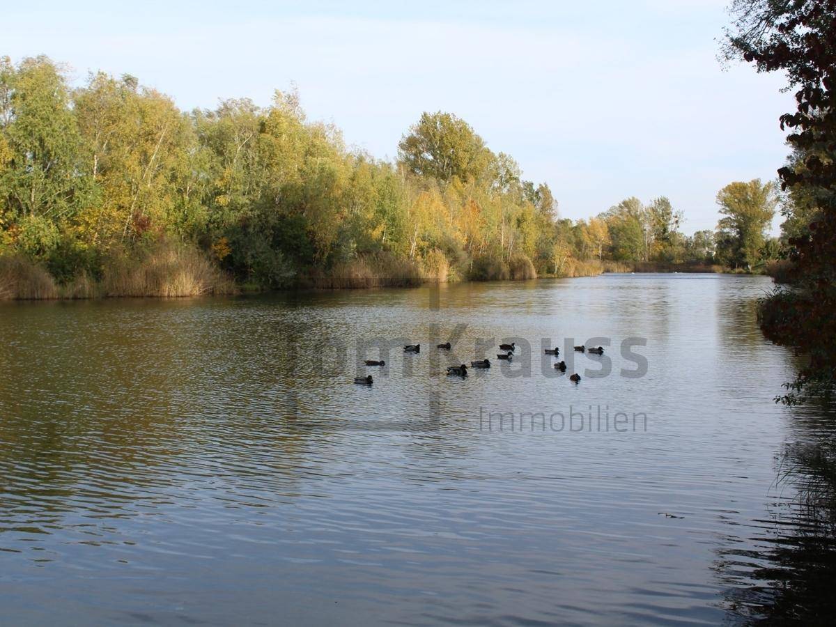 Weitläufiger See mit Enten auf dem Wasser und bewaldetem Ufer im Herbst.
