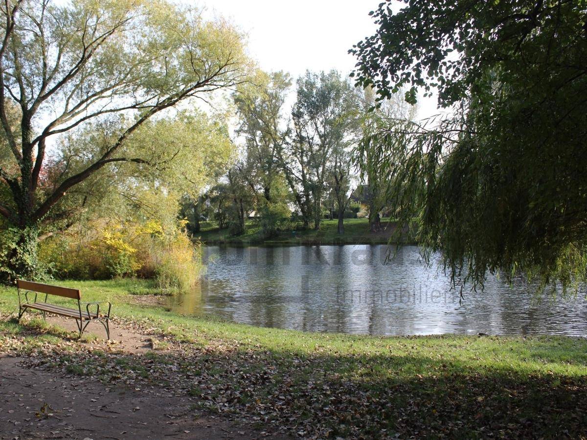 Ruhiger Seeuferbereich mit einer Holzbank und herbstlicher Vegetation am Wasser.