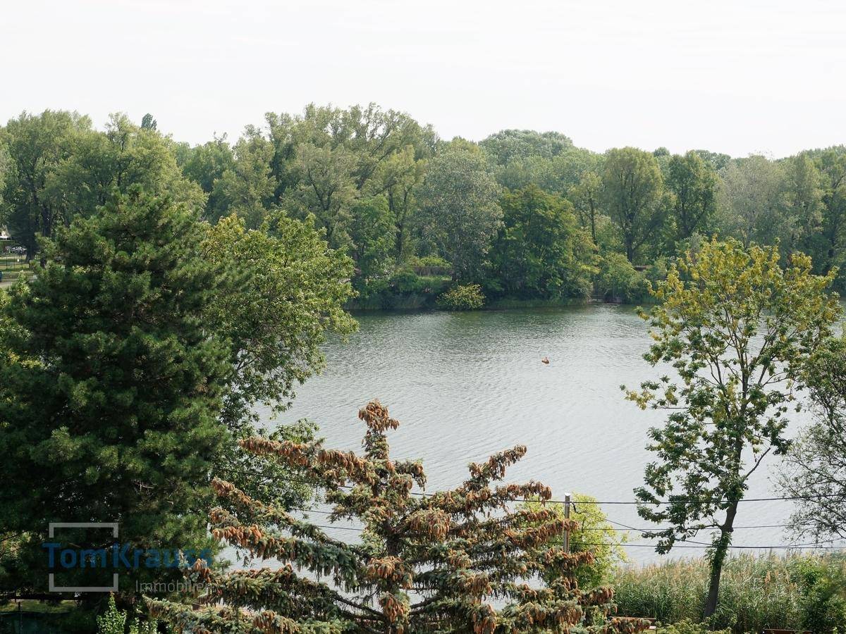 Ruhiger Blick auf einen See, umgeben von dichtem Baumbestand unter hellem Himmel.