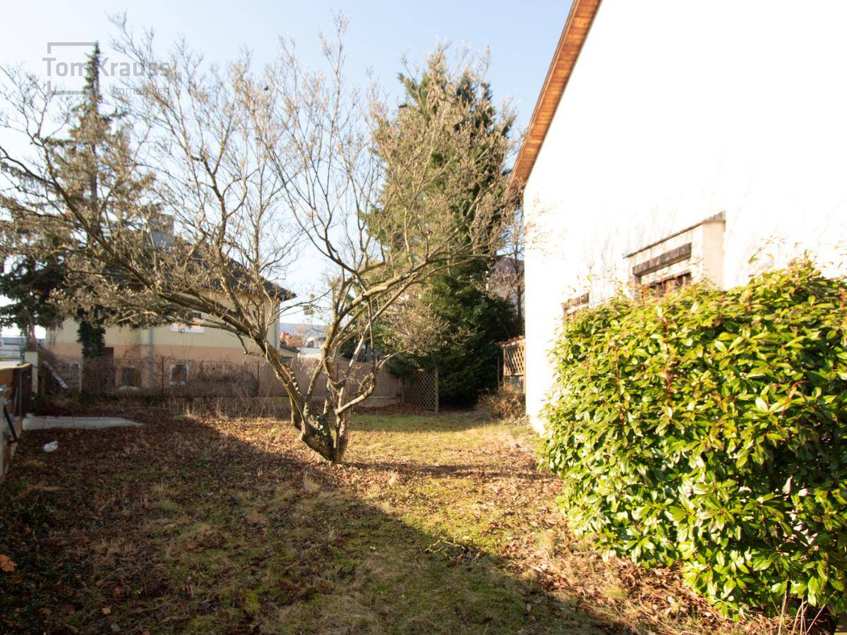 Seitenansicht des Hauses mit einem großen, naturbelassenen Garten und einem kahlen Baum.