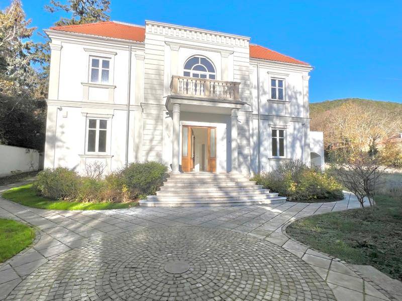 Klassische Villa mit repräsentativer Auffahrt und breiter Treppe zum Eingangsbereich.