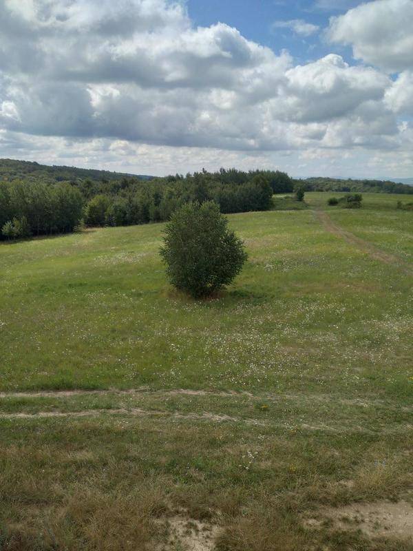 LANDWIRTSCHAFT GRUNDSTÜCK ca. 67 HA. RIMAVSKA BANA SLOWAKEI