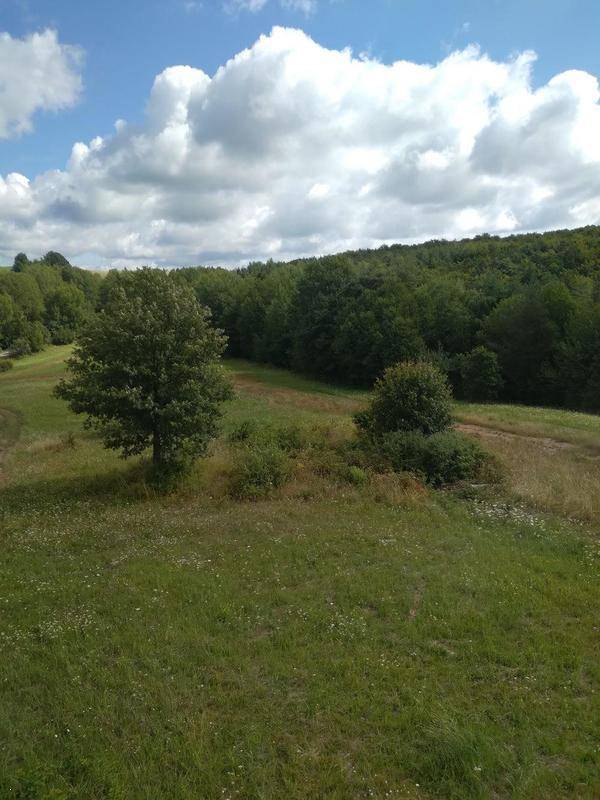 LANDWIRTSCHAFT GRUNDSTÜCK ca. 67 HA. RIMAVSKA BANA SLOWAKEI