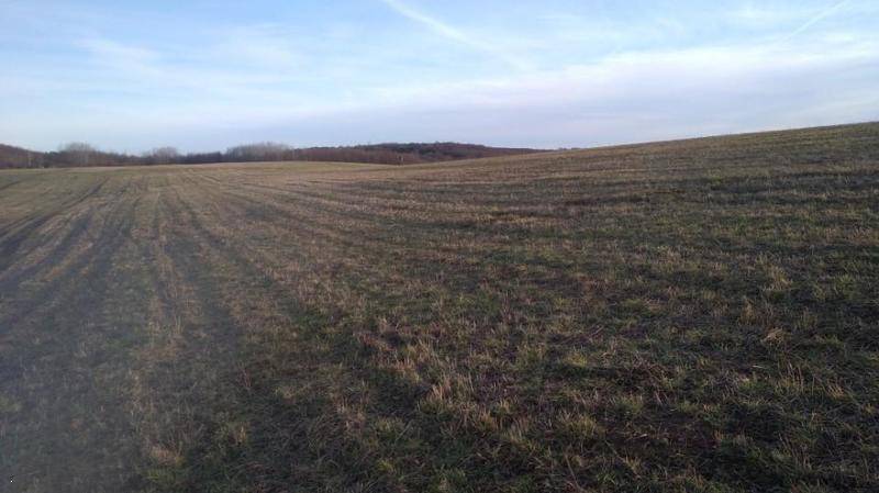 LANDWIRTSCHAFT GRUNDSTÜCK ca. 67 HA. RIMAVSKA BANA SLOWAKEI